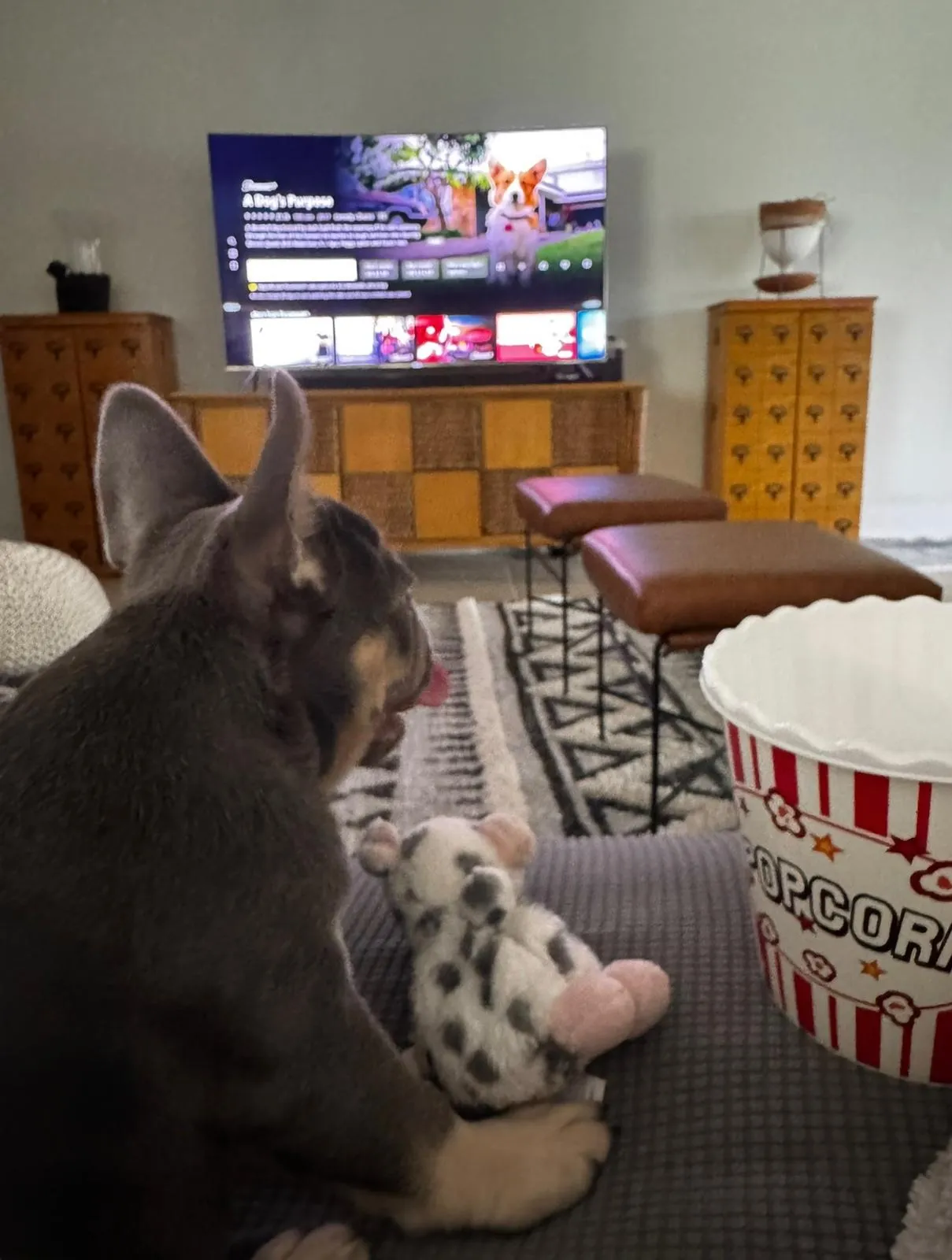 Happy guest at Snuggles