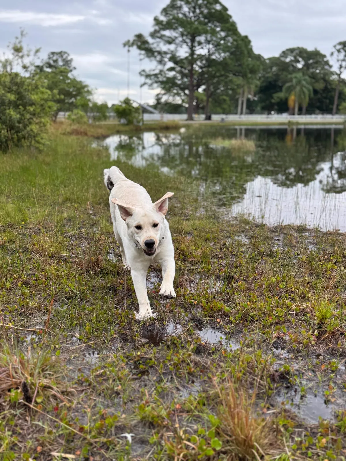 Happy guest at Snuggles