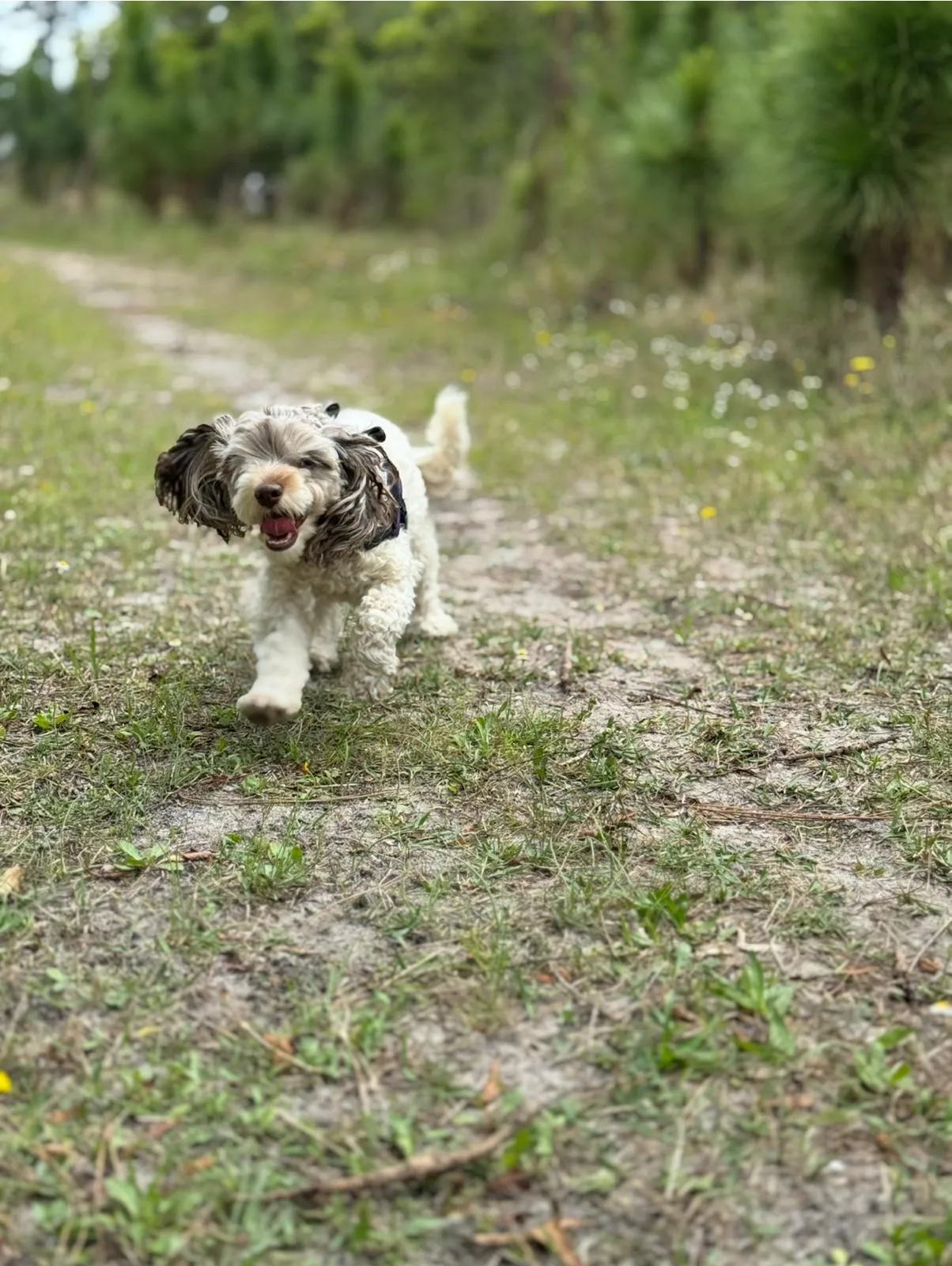 Happy guest at Snuggles