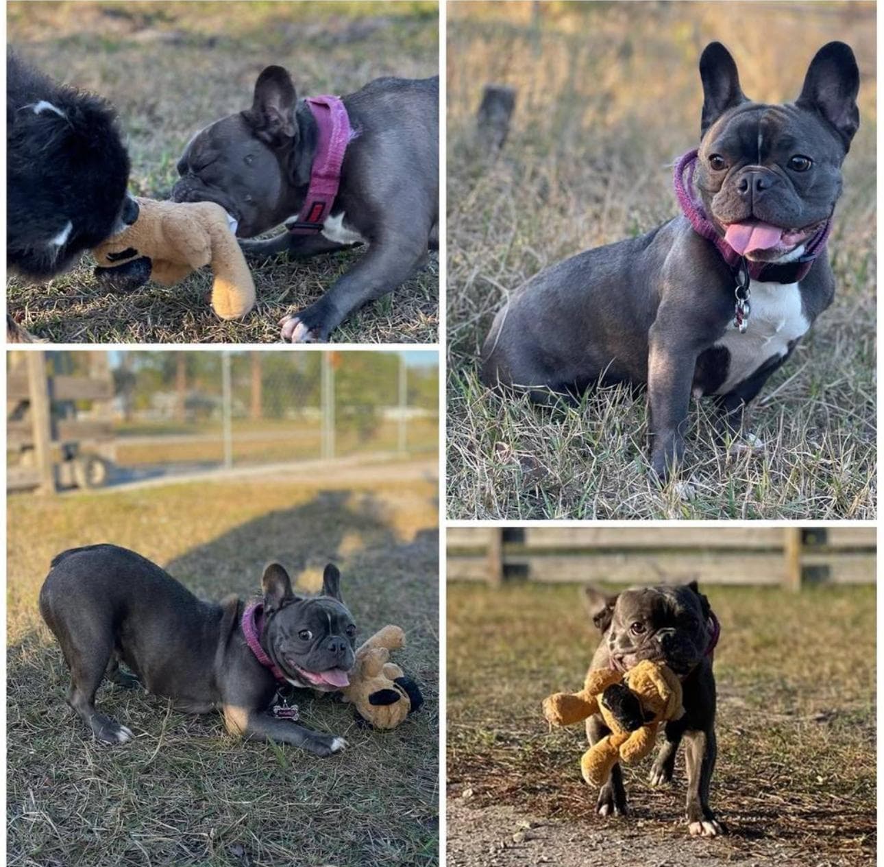 Happy guest at Snuggles