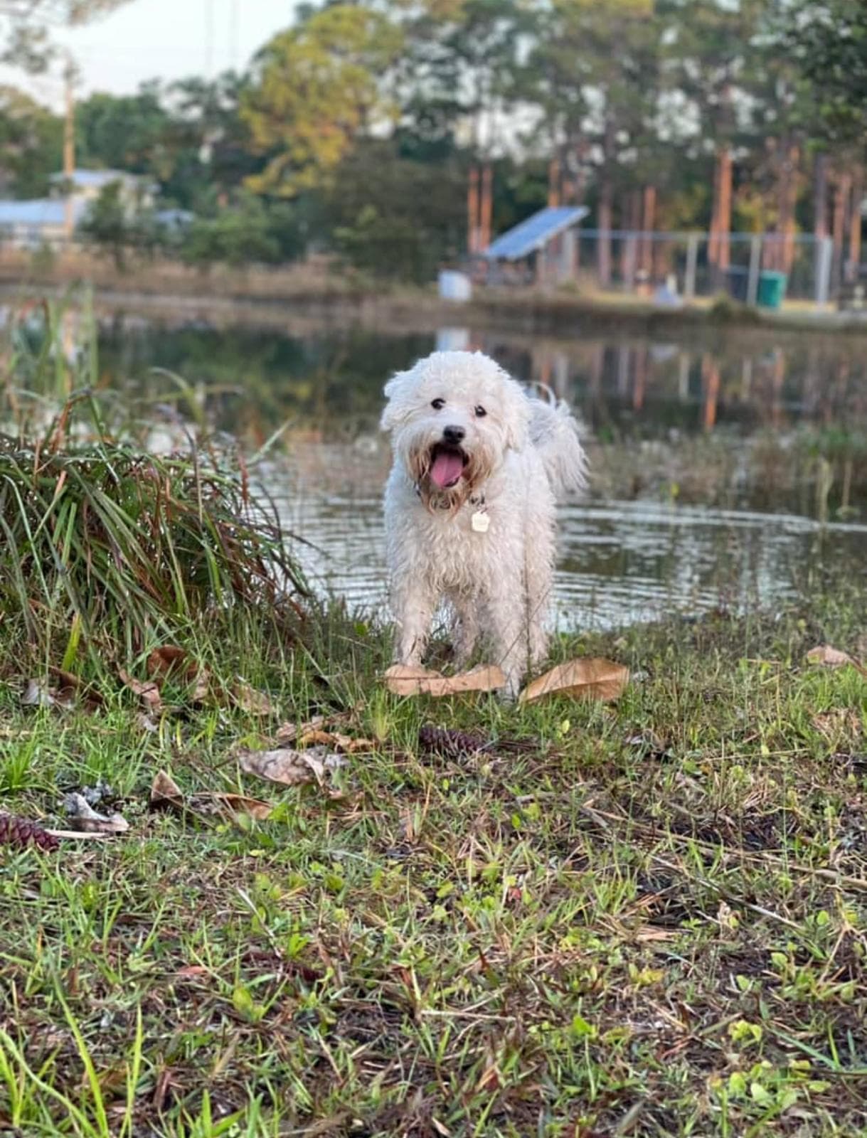 Happy guest at Snuggles