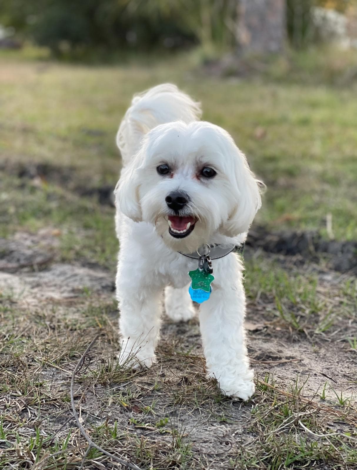 Happy guest at Snuggles