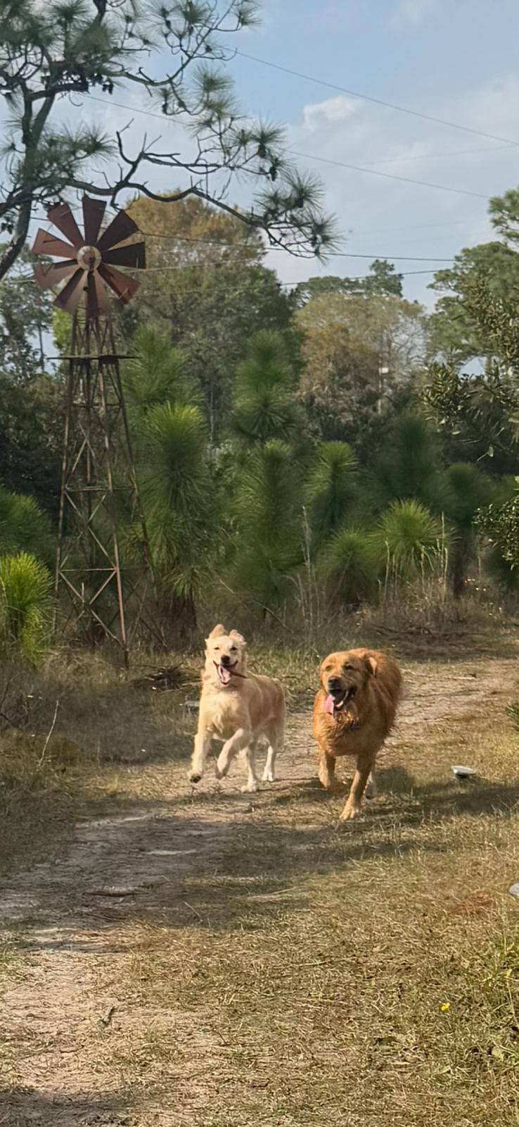 Happy guest at Snuggles