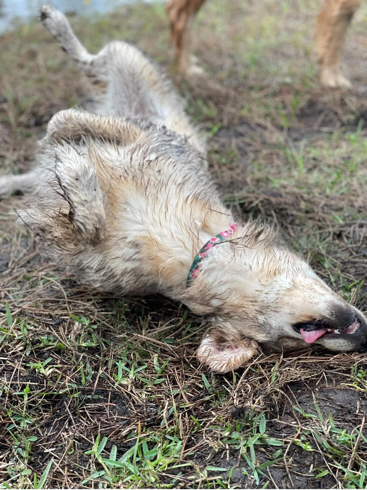 Happy guest at Snuggles