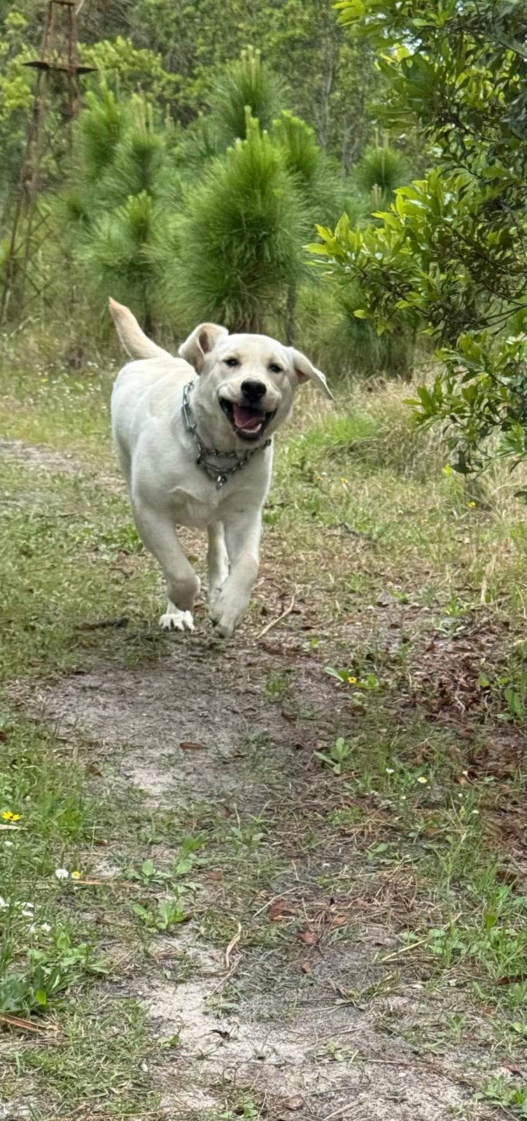 Happy guest at Snuggles